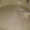 Wild Orange, Vanilla Infused Coconut, Shea, Sacral Chakra, Whipped Body Butter - Image 2